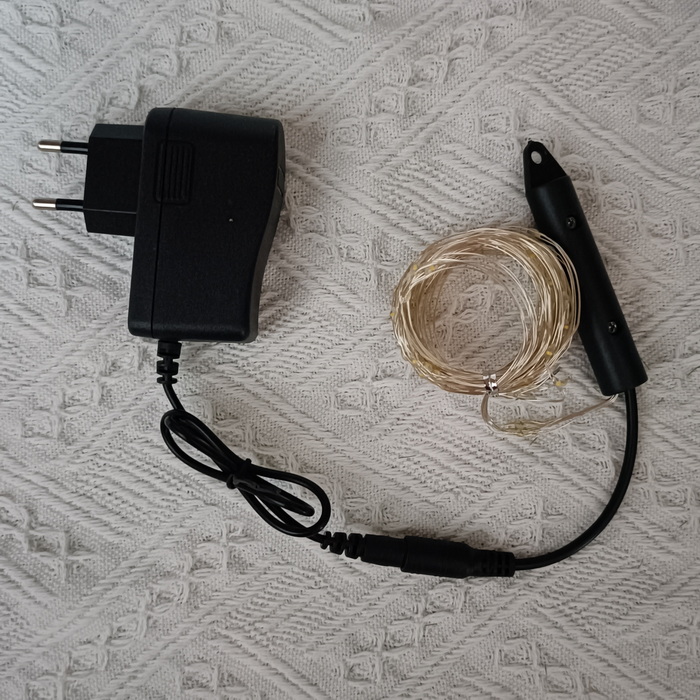 100Led EU plug powered copper wire lights