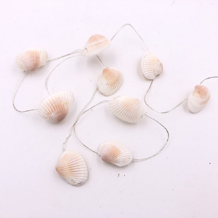  Shell String Lights