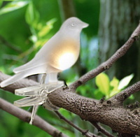 Solar Bird Light