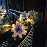 Violet Chinese Peony Decorative Copper String Light