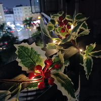 Summer Garden Fence Lighting Outside Lights with Artificial Leaves Red Berries Vine