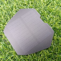 5v Monocristal Mini Solar Panel 06w For Agriculture Panneau Photovoltaque