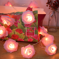Warm White 6M 40 Led Copper Rose Fairy Light Xmas Led Battery String Lights