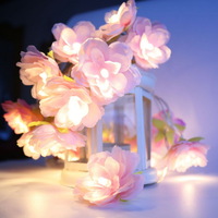 20 LED Warm White Plastic Indoor Decorative Batteries Operated Small Silk Cloth Flowers String Light