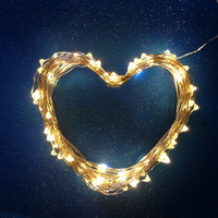 Copper Wire String Light USB Warm White Holiday Party Decorative 10m 100leds USB Lights