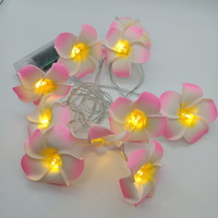 10 LED Thai Frangipani Bedroom Christmas Decoration Led String Light