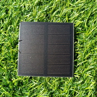 2.5 Volt Monocrystalline Solar Panel Small 049W Mini Solar 60x60 150MA 2.5V 6060 MM Panel