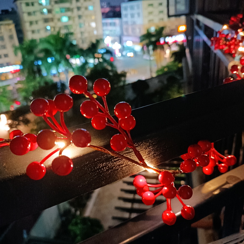 Romantic Tree Led Decorative Lights Indoor Battery Operated Berries Copper Wire String Light