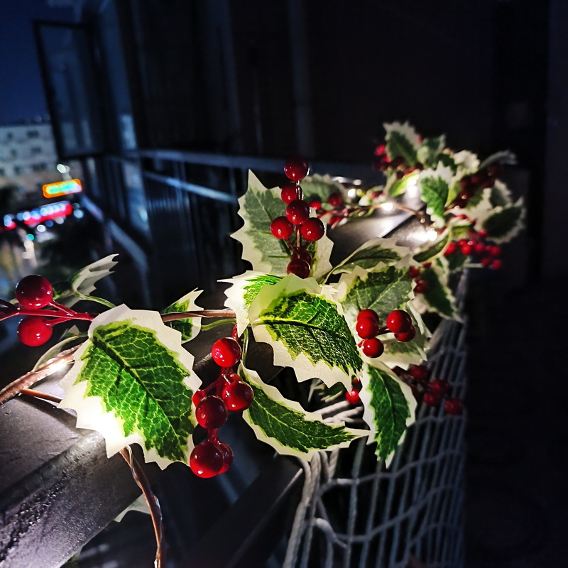Plastic Red Fruit Berries Vine Battery Operated Indoor Living Room Warm White LED String Light