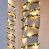House Indoor Decorations Small Green Leaf Micro Led Copper Wire String Lights