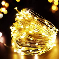 10M 100Led 8 Mode Usb Operated Silver Wire Warm White Led String Lights 