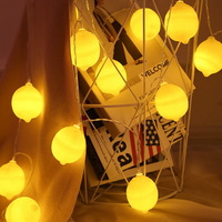 Fruit Yellow Lemon Ball 3m 20 Warm White Led Home Indoor Curtain Bedroom Decorative String Light