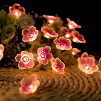 3 Meters 20 Led Battery Operated Indoor Flower Lights Wedding Warm Light