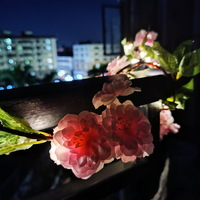 20 Led Silver Wire Warm String Lights with Green Leaves Pretty Vine Flower Wedding Lights