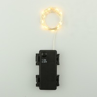 Black Copper Wire Led Light 5 Meter 2AA Battery Power 3M 30Led Copper String Lights
